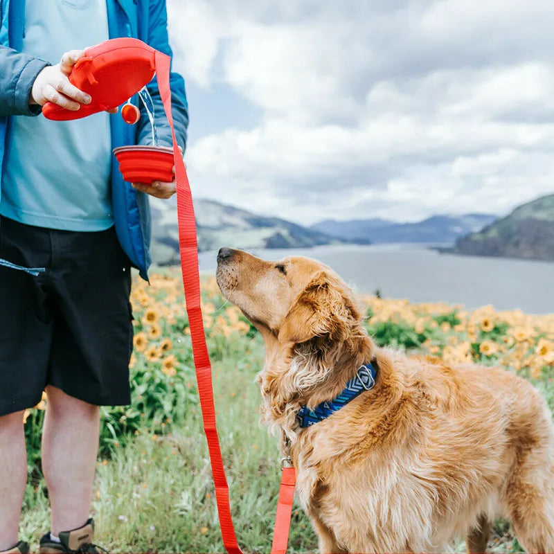 Aqua Leash