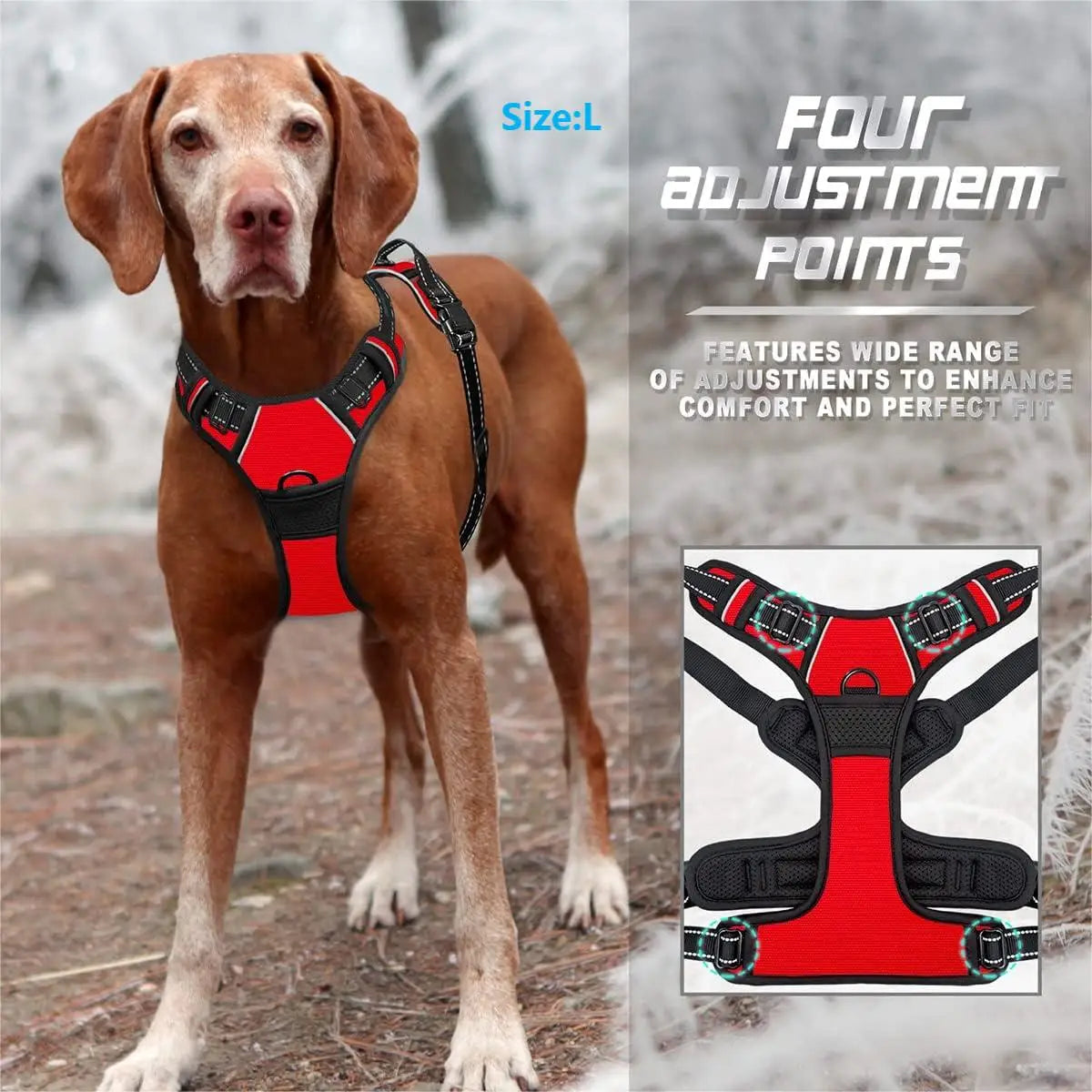 Devotions Harness